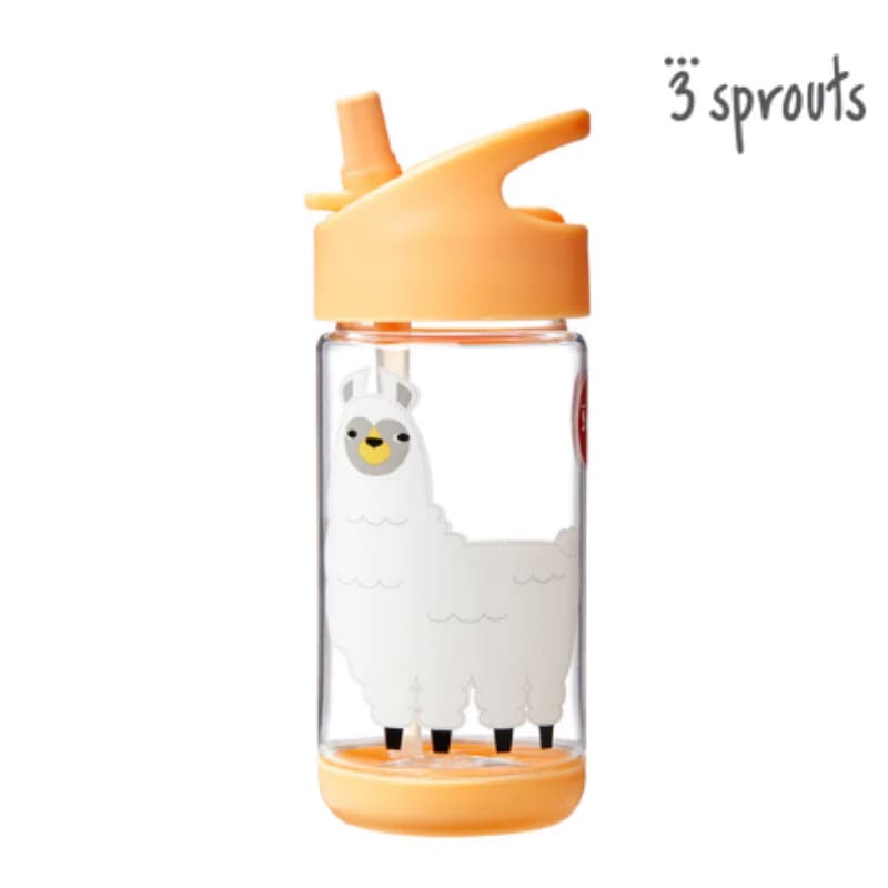 Botella de agua Llama